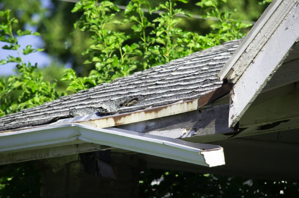 Structural roof damage after summer storm in Upstate SC